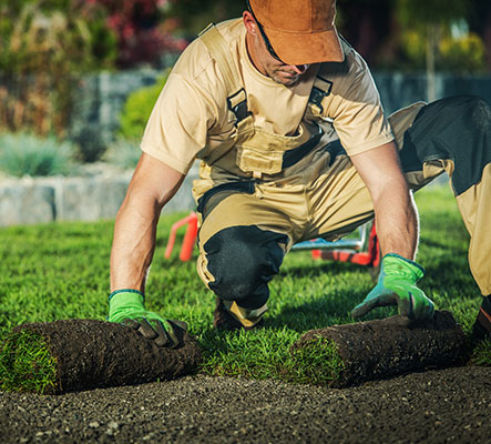 landscaper-lawn-insurance